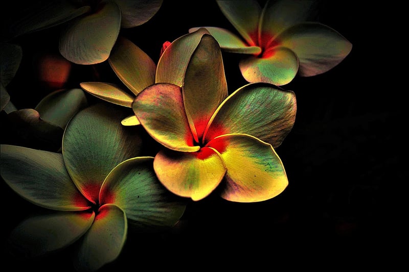 Meditation Image